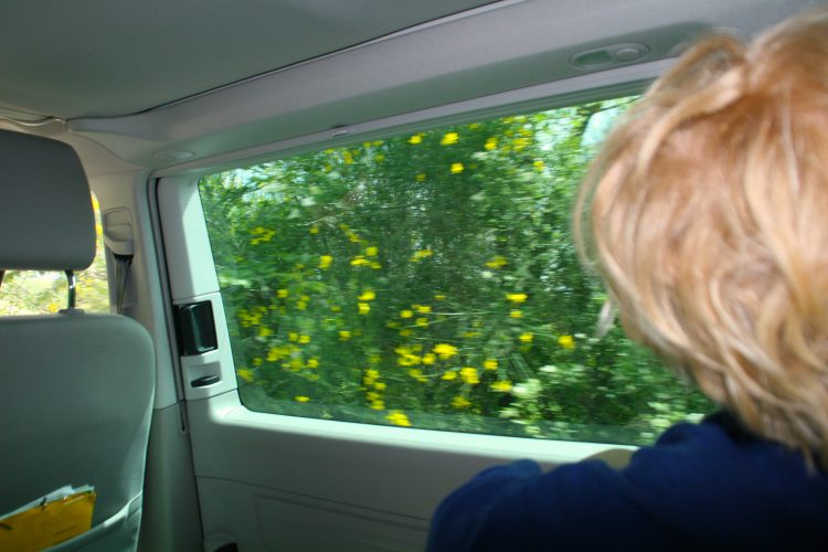 Fahrbericht Volkswagen California Coast (2016) - Das VW_California_Toskana_Heckaussicht