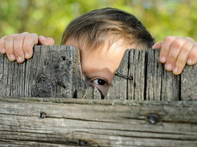 Male Kid Peeking Over a Rustic Wooden Fence