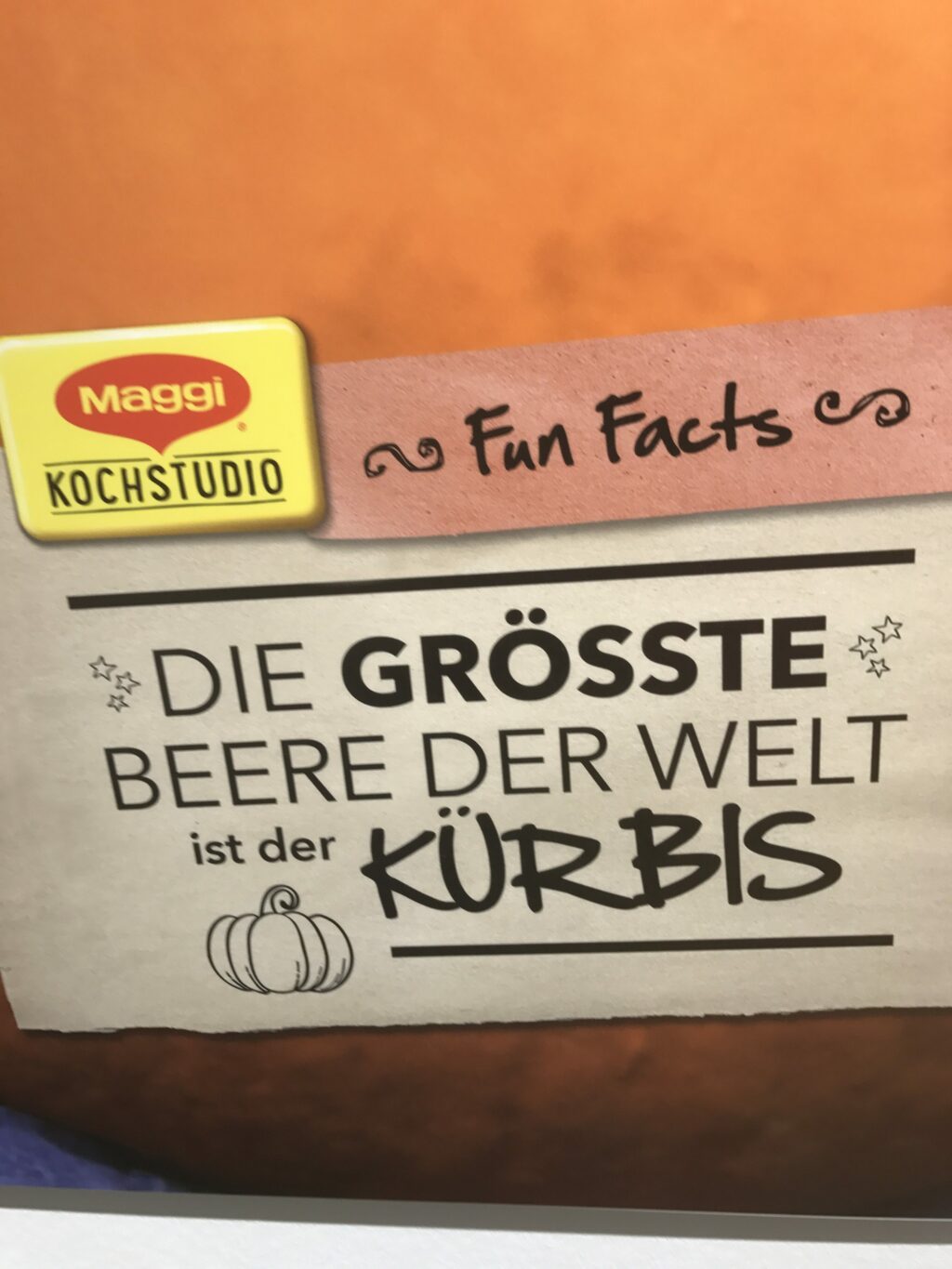 Elternsprechtag „Alltagsküche“ im Maggi Kochstudio 14 IMG 1491 e1510049815331