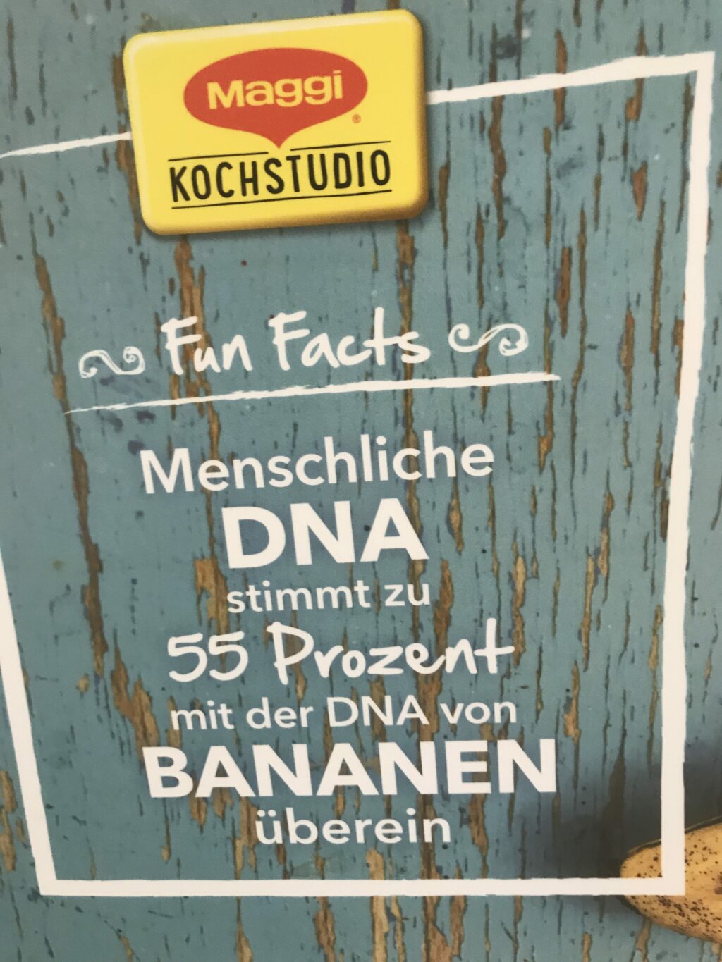 Elternsprechtag „Alltagsküche“ im Maggi Kochstudio 11 IMG 1494 e1510049716581