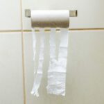 Leere Toilettenpapierrollen