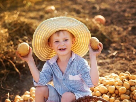 Fotolia 91185516 S e1676559936420