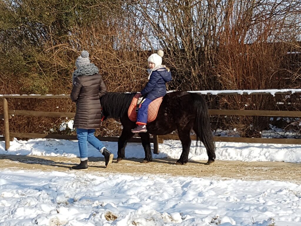 Familienzeit im Zeichen der Erdbeere - Karls Erlebnis-Dorf Rövershagen 7 Karls Erlebnis-Dorf Ponyreiten