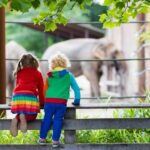 Kids watching elephant at the zoo