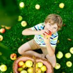 Little kid boy picking red apples on farm autumn