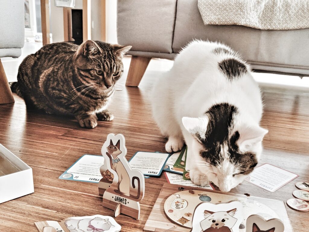 Thinkfun Cat Crimes Tatort