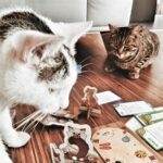 Thinkfun Cat Crimes Katzen