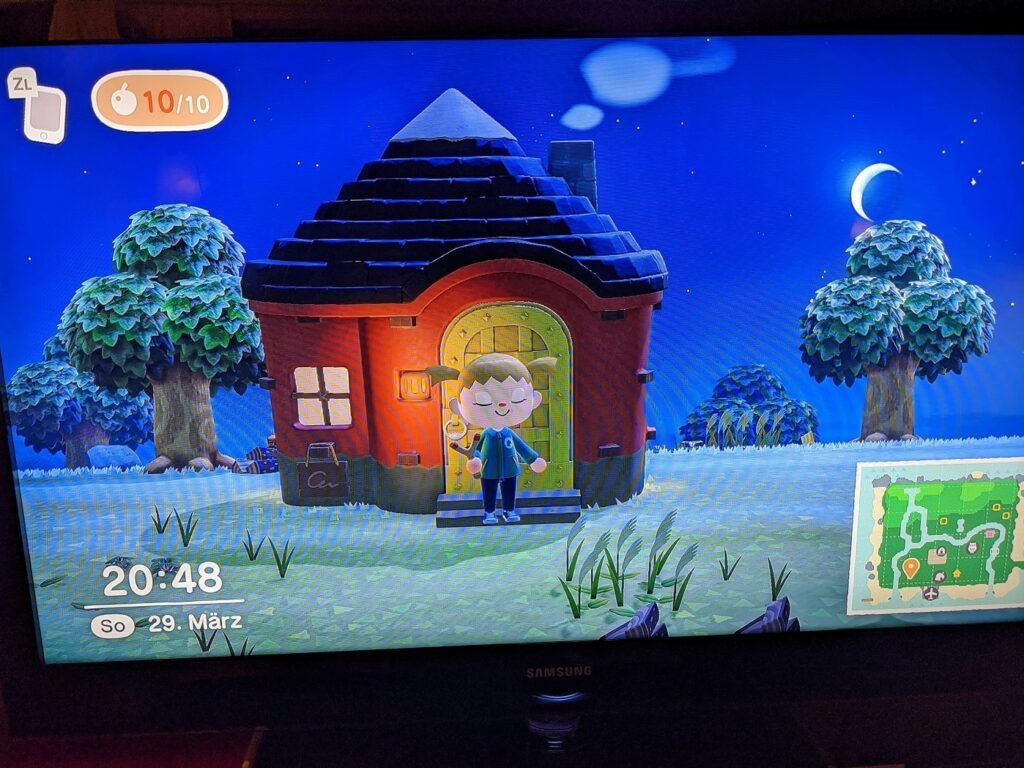 nintendo switch animal crossing Insel