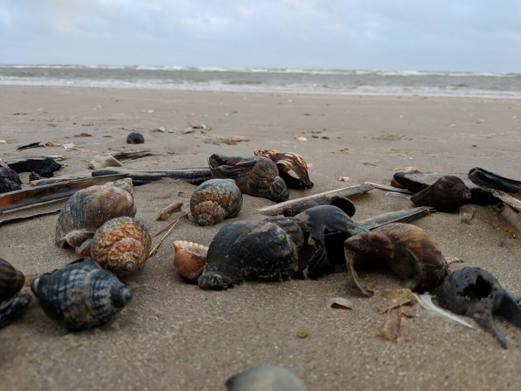 Blavand Strand Daenemark