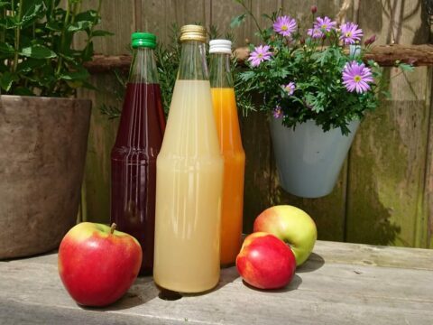 Fruchtsaft gehoert jeden Tag dazu e1676396020252