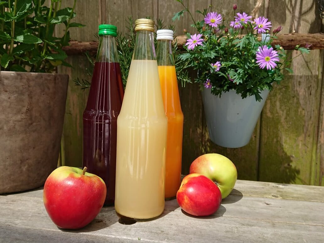 Fruchtsaft gehoert jeden Tag dazu e1676396020252