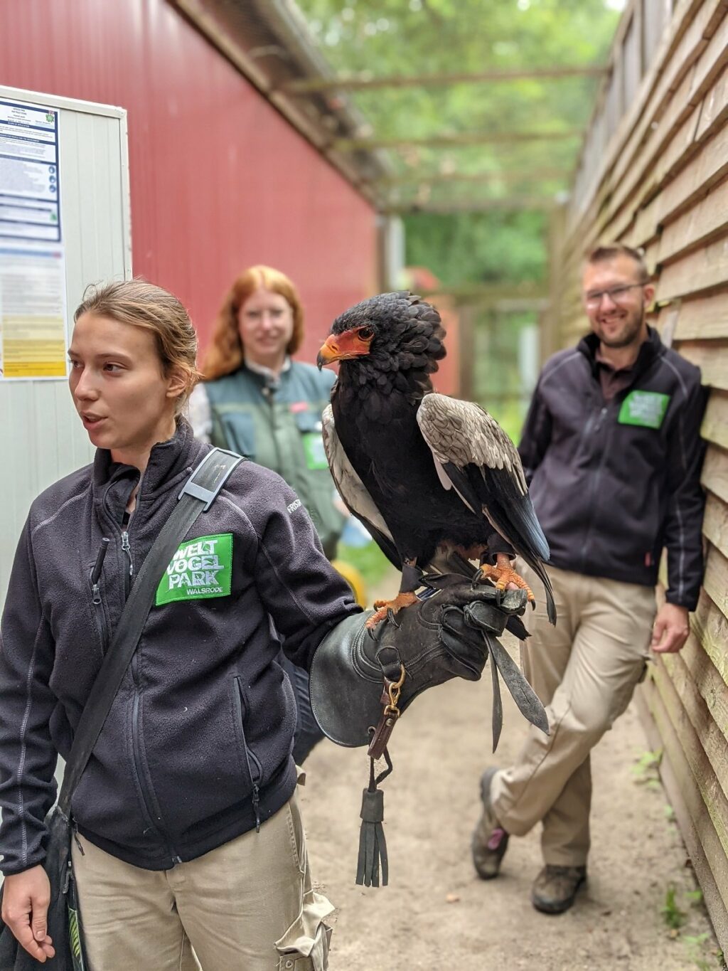 vogelpark walsrode backstage