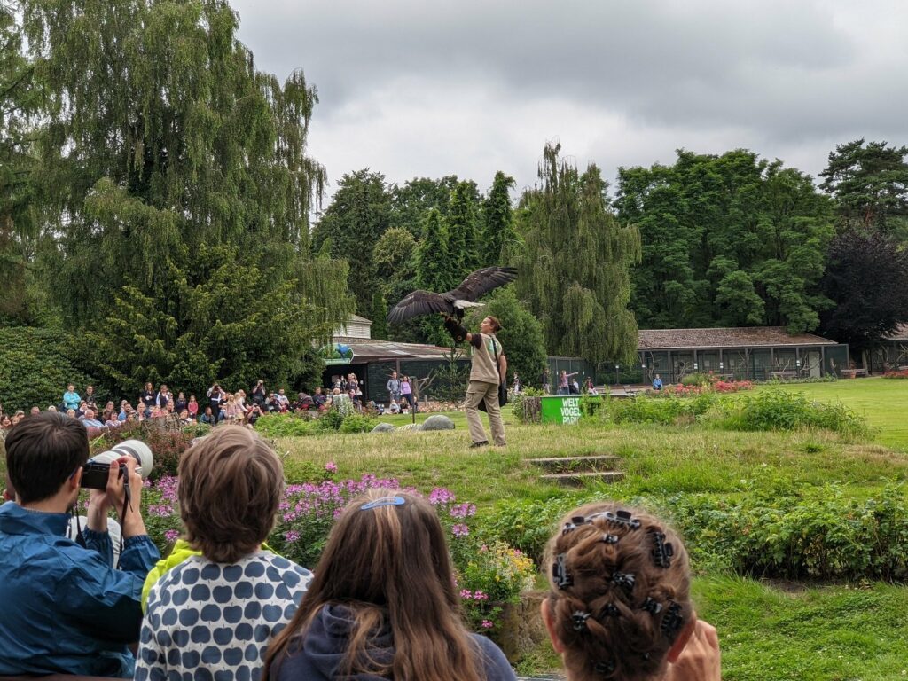 vogelpark walsrode flugshow
