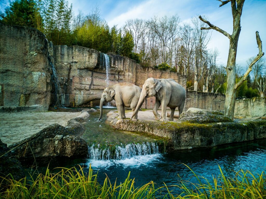 Spielplatz-Hopping im Allwetterzoo Münster 6 b nw 8uJ0Am ZdTA unsplash