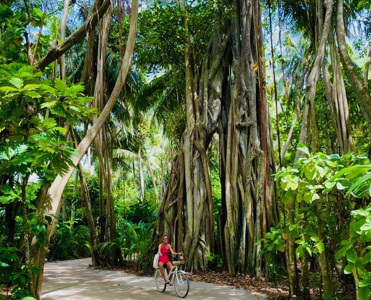 Eine Barfuß-Fahrrad-Tour wird auf Amilla Maldives zu einem Abenteuer.