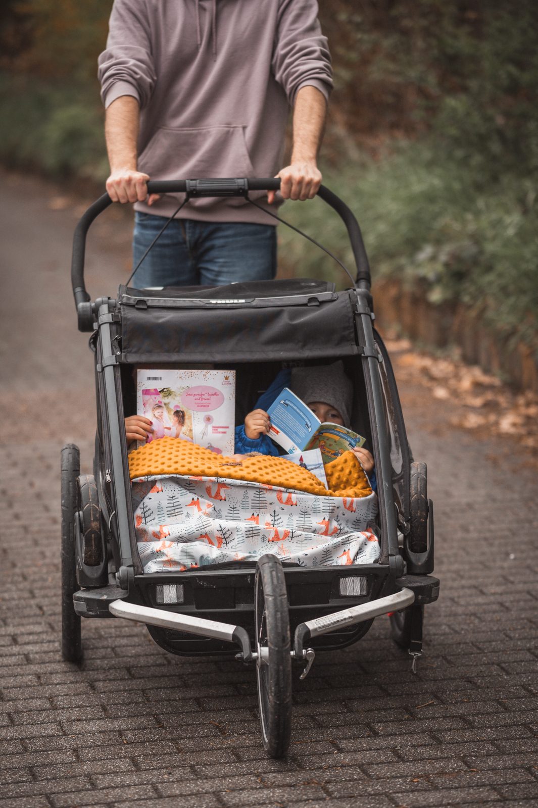 4-in-1-Anhänger: Thule Chariot Sport 2 im großen Daddy-Check 32 IzyLizzy 4 von 6