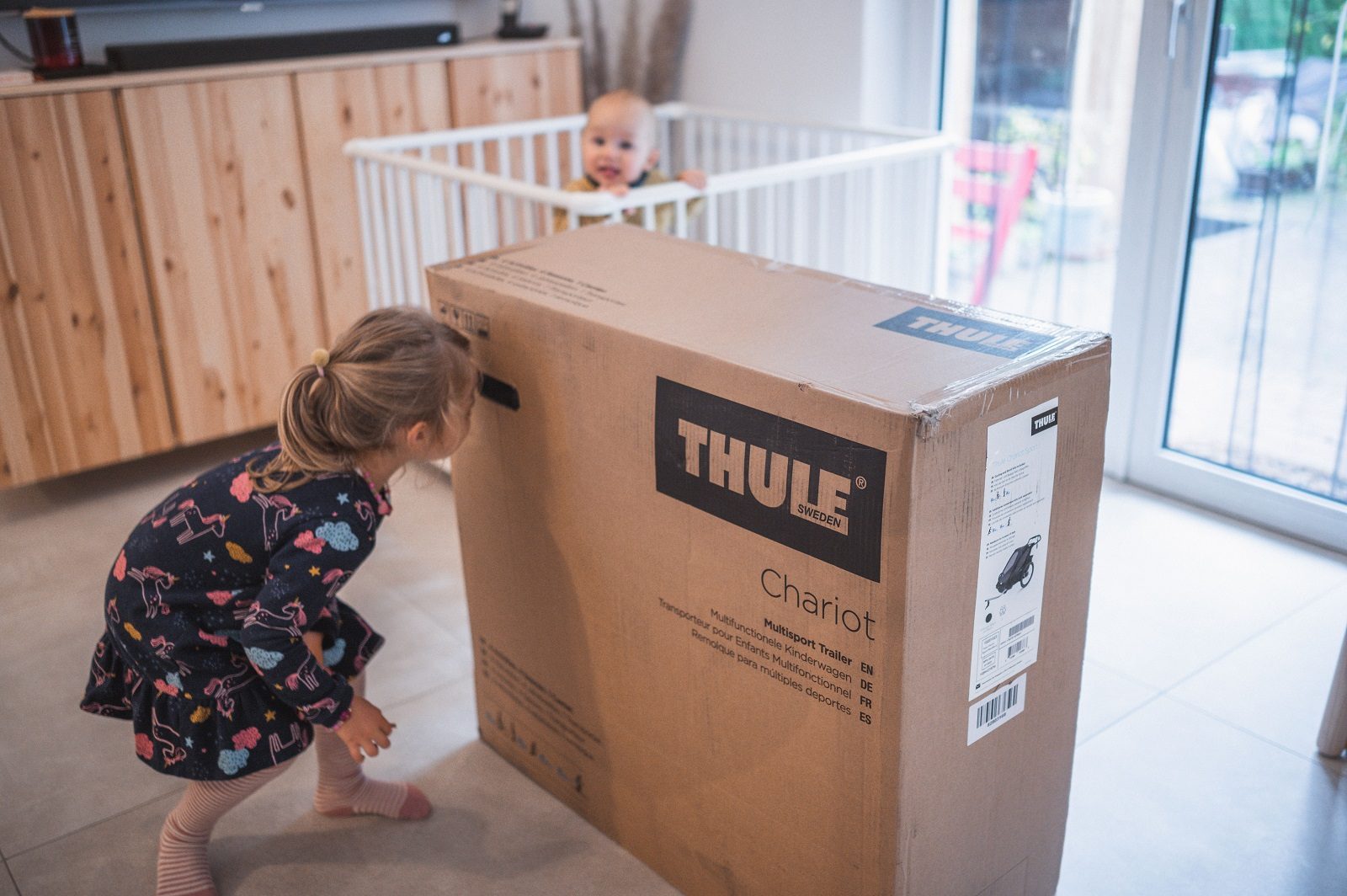 4-in-1-Anhänger: Thule Chariot Sport 2 im großen Daddy-Check 6 thule chariot sport 2 packshot 2