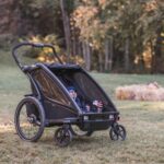 Thule Chariot Sport 2 im Daddy-Check