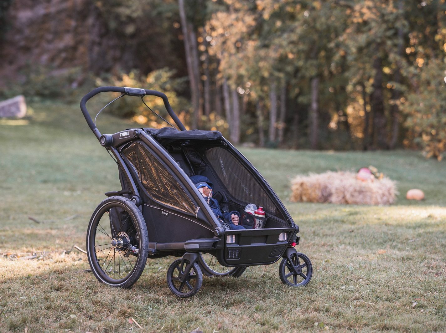 Thule Chariot Sport 2 im Daddy-Check
