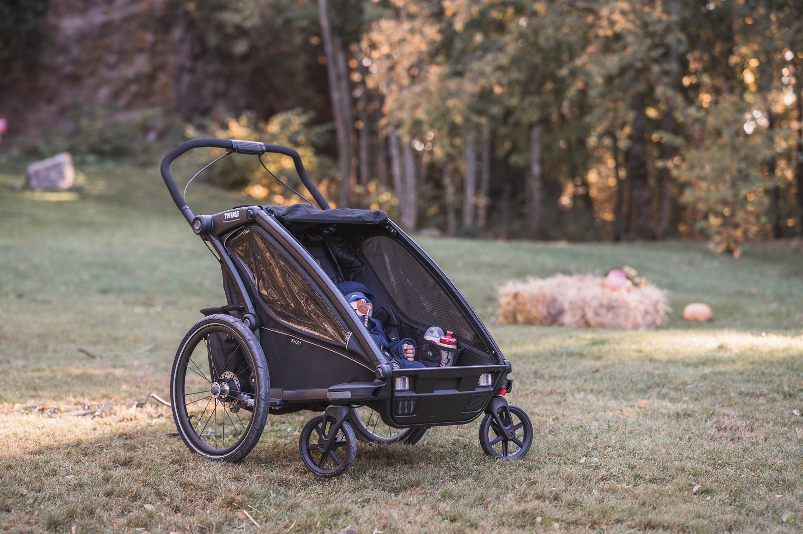 Thule Chariot Sport 2 im Daddy-Check