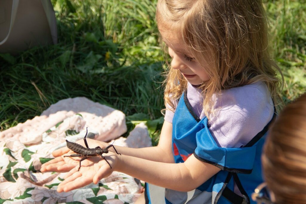 Biene Maja und der Insektenschutz - Projekt Klatschmohnwiese 7 Zusammen mit dem Nabu präsentiert Biene Maja den Insektensommer