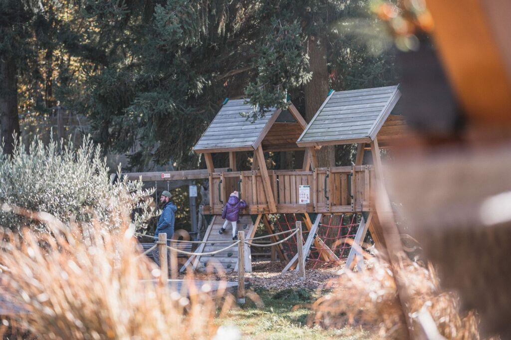 Leben im Wald und Affen auf dem Berg: Familienurlaub im Elsass 3 Elsass ph Oktober2021 4 von 31