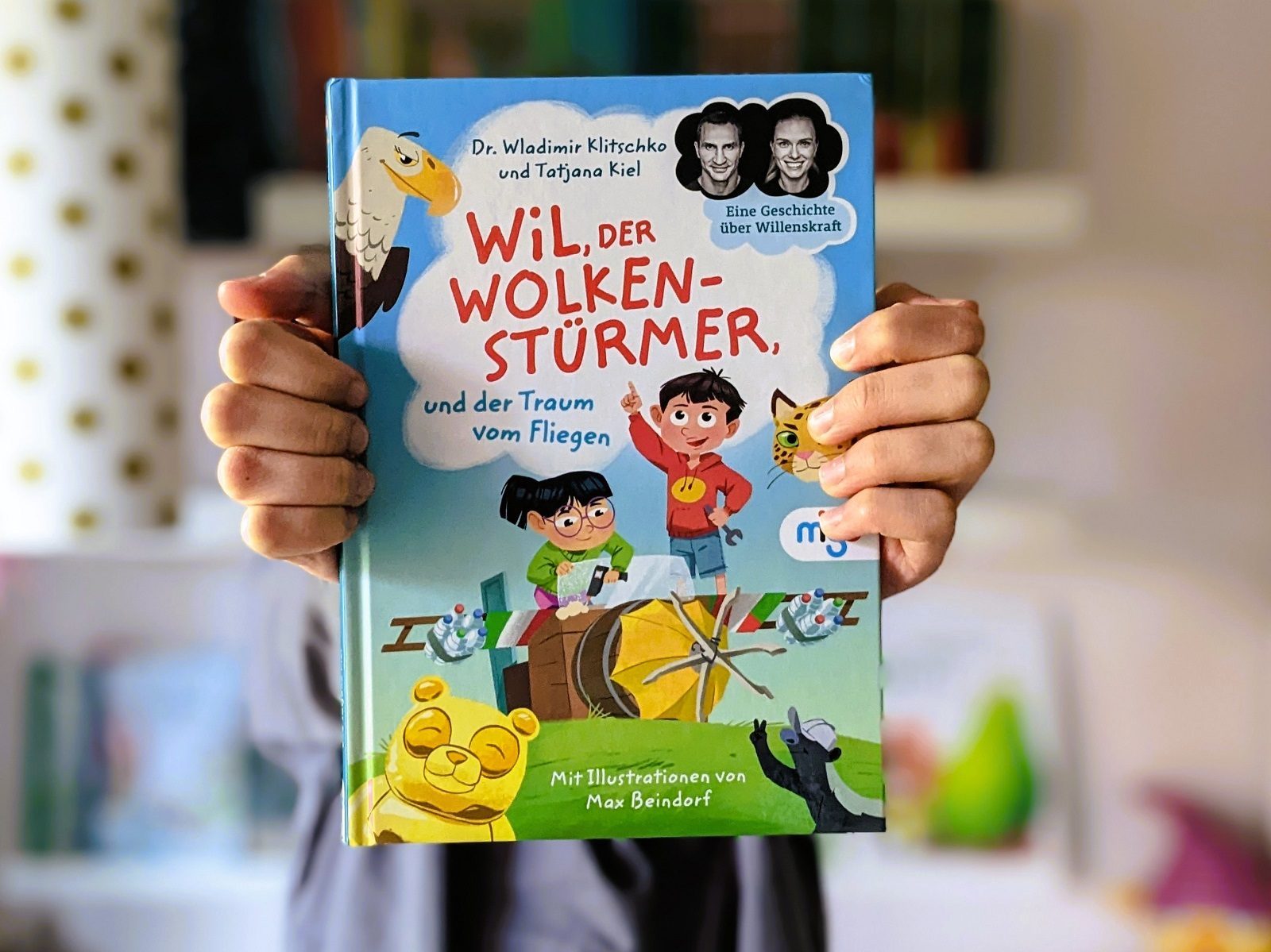 kinderbuch wil der wolkenstuermer