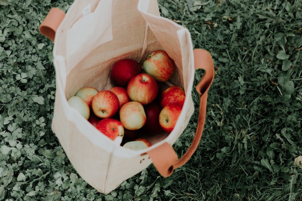 10 Neujahrs-Ideen für umweltfreundliche Familien 6 priscilla du preez urcDzLL0HnI unsplash