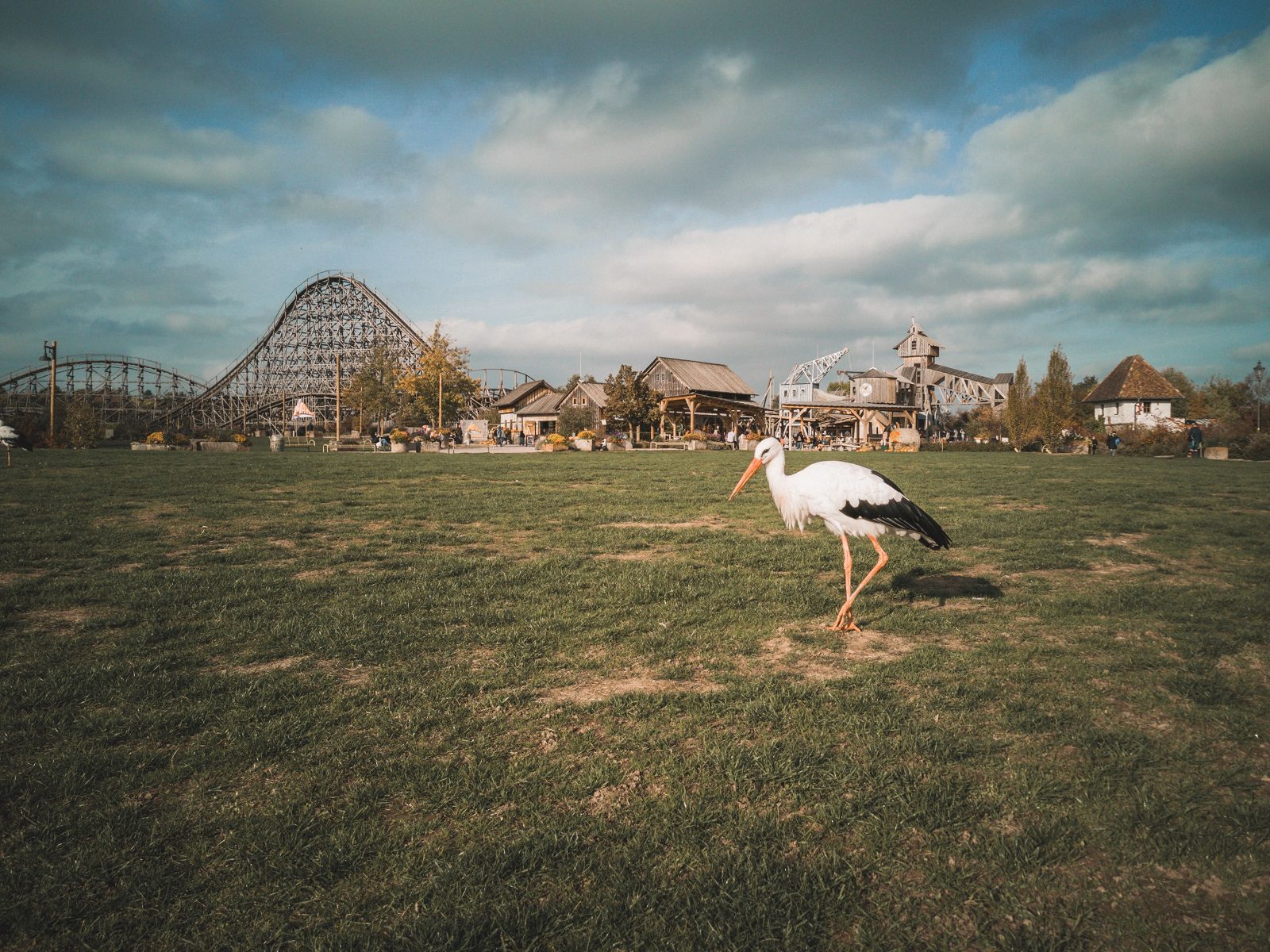 Nervenkitzel im Waschzuber und tierische Entspannung: Abenteuerurlaub im Freizeitpark Tripsdrill 12 Tripsdrill ph 11102022 17 von 95