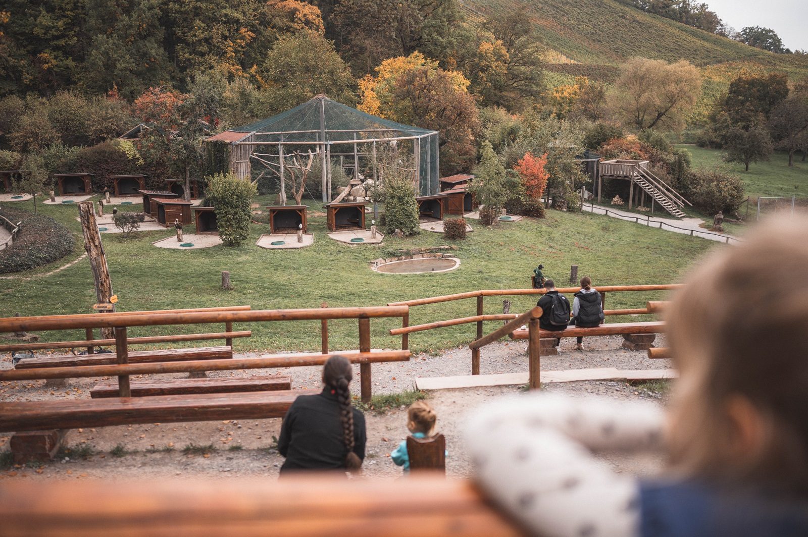 Nervenkitzel im Waschzuber und tierische Entspannung: Abenteuerurlaub im Freizeitpark Tripsdrill 13 Die Flugshow in Tripsdrill