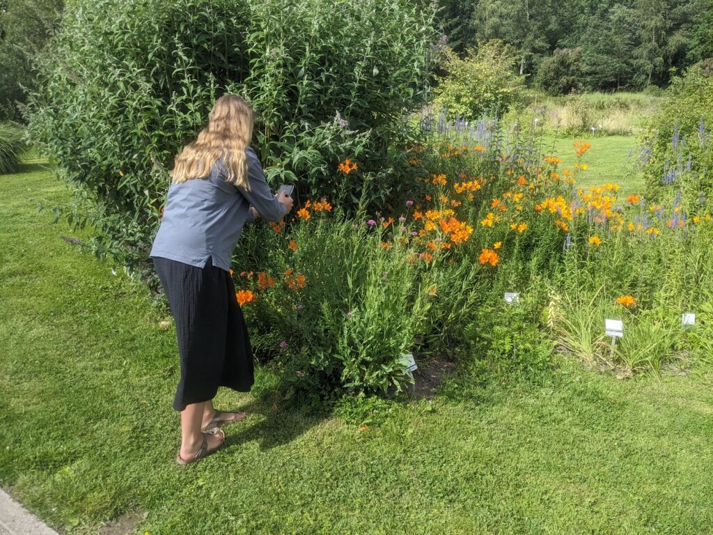 Strandurlaub in Kalifornien - Im Ferienhaus an der Ostsee 20 kiel botanischer Garten fototour