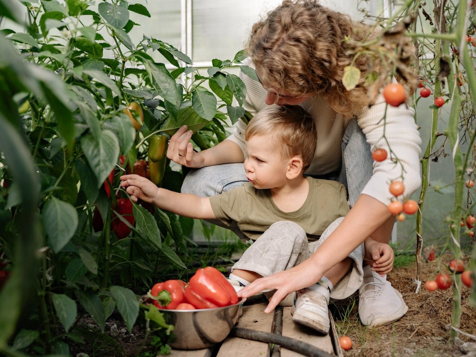 BlogMagazin für Väter und Familien. Daddylicious