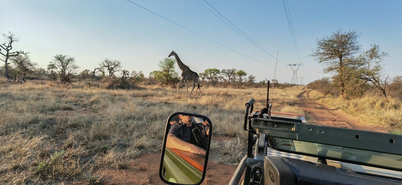 Wildlife mit Kids - Unvergessliche Erlebnisse in Südafrika 9 suedafrika reise mit kids 1