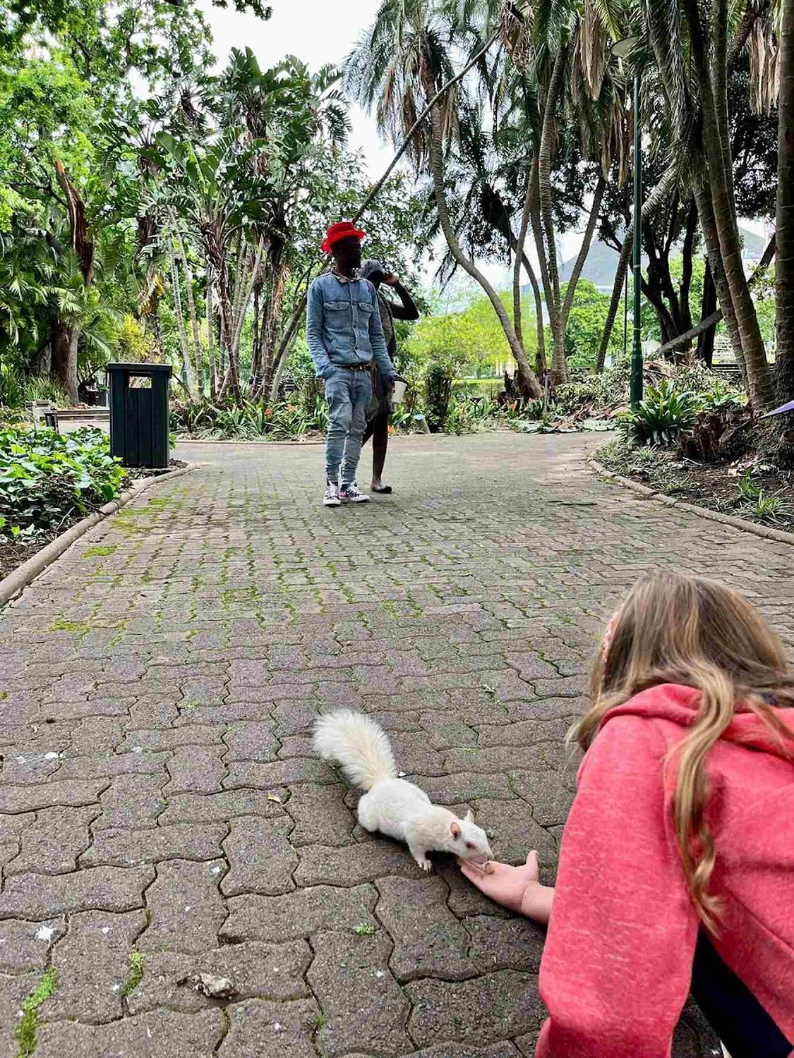 Wildlife mit Kids - Unvergessliche Erlebnisse in Südafrika 8 suedafrika reise mit kids 18