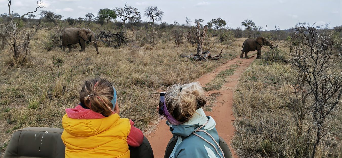 Wildlife mit Kids - Unvergessliche Erlebnisse in Südafrika 10 suedafrika reise mit kids 5