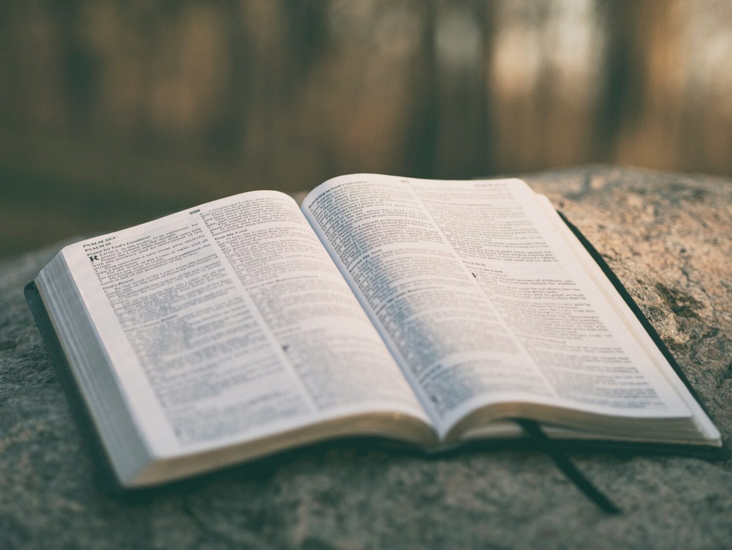60 biblische Mädchennamen für deine Tochter 6 Wir haben besondere biblische Vornamen für Mädchen