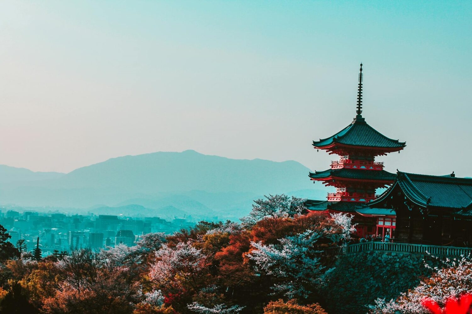 60 japanische Vornamen für Mädchen 8 pexels belle co 99483 402028