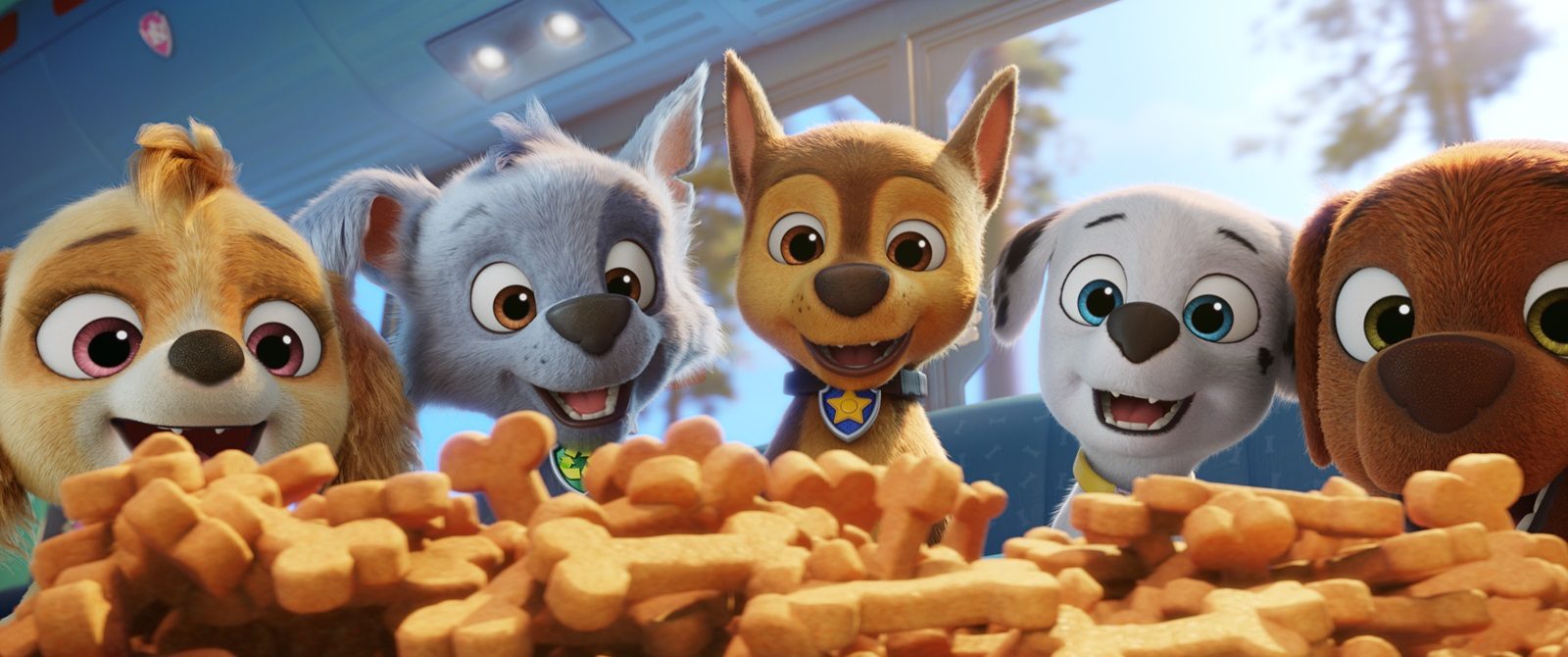 Paw Patrol Namen Alle Namen der Charaktere im Überblick