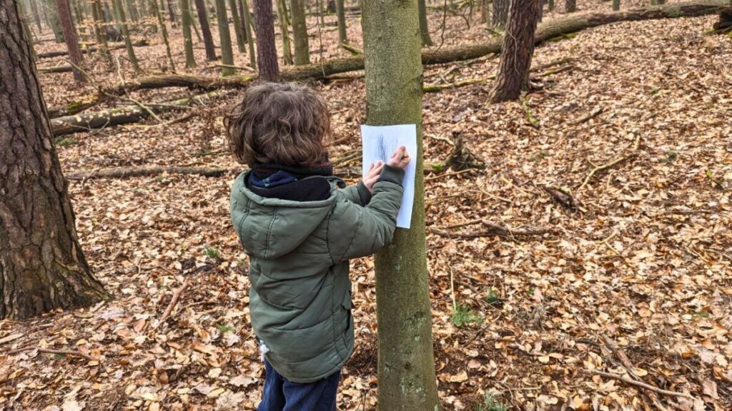 10 Spiele im Wald, die deine Kinder lieben werden 9 baumrinde abmalen kinder