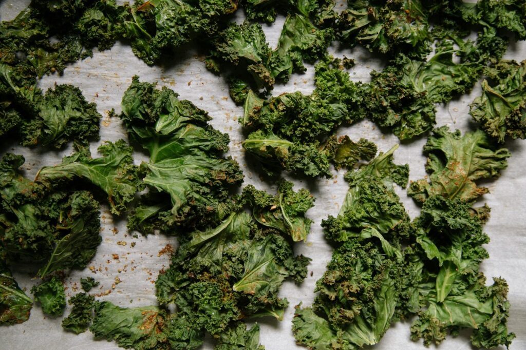 Rezept des Monats 10.2024: Lauwarmer Salat aus geröstetem Kürbis und Grünkohl 6 charlesdeluvio la6DtkODelg unsplash
