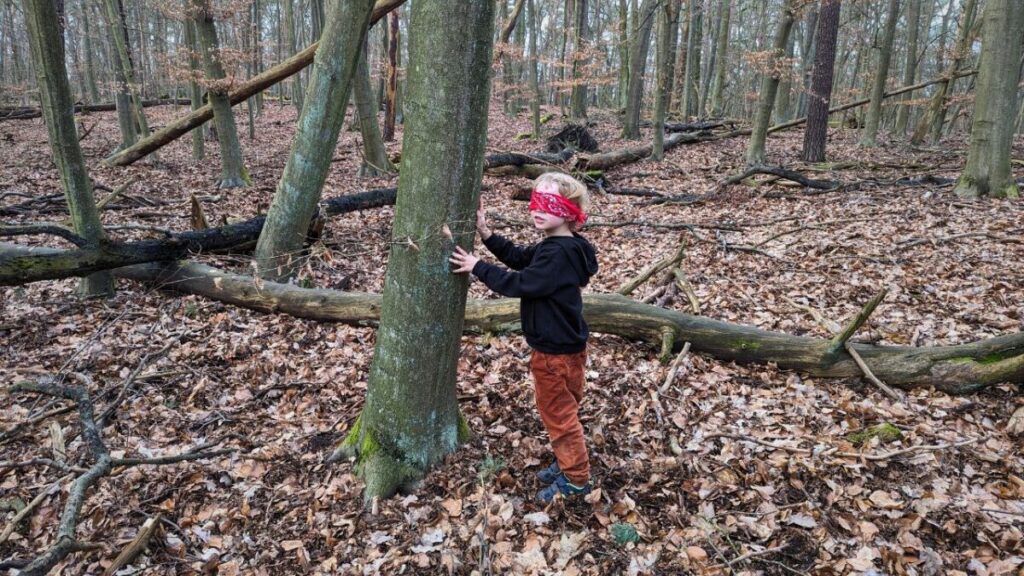 10 Spiele im Wald, die deine Kinder lieben werden 14 finden deine baum spiel mit kindern