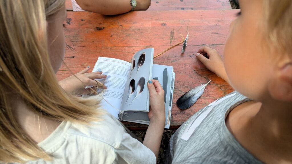 10 Spiele im Wald, die deine Kinder lieben werden 11 kinder schauen in buch nach federn