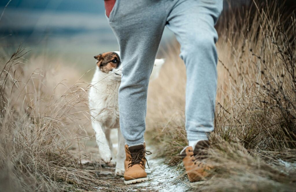 Eine Frage des Vatertyps: Welche Hosen passen zu dir? 9 pexels jozef feher 356581 14632759