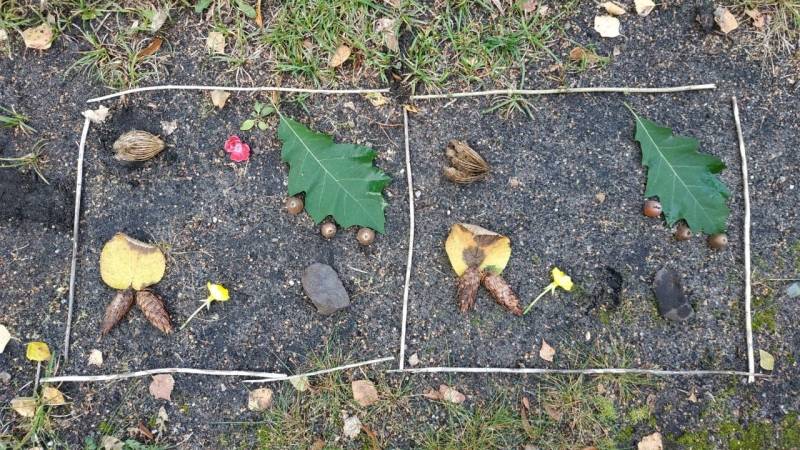 10 Spiele im Wald, die deine Kinder lieben werden 10 waldspiel finde den unterschied
