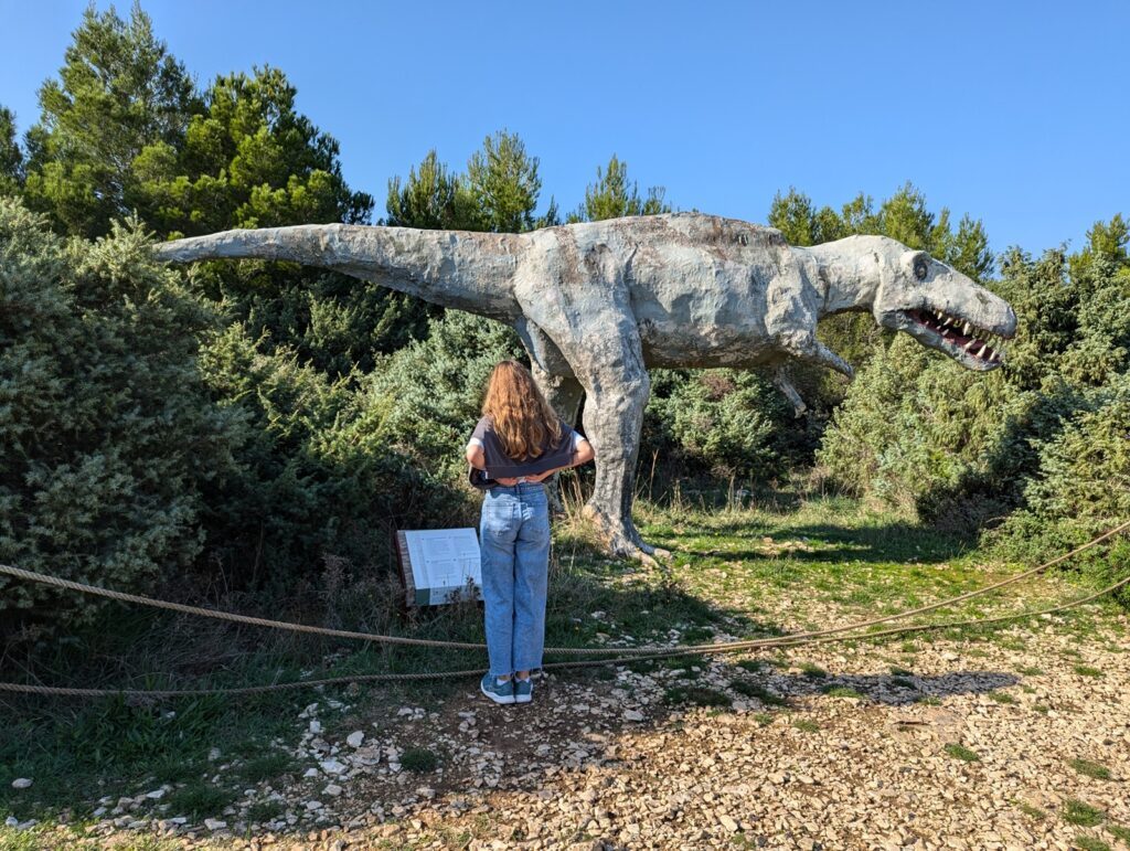 kap kamenjak dinos