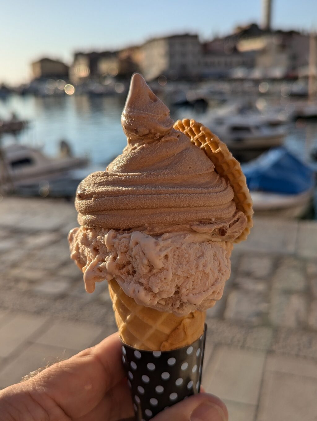 rovinj eis