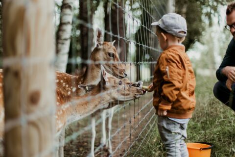 daiga ellaby Sg OwwU2Z9o unsplash