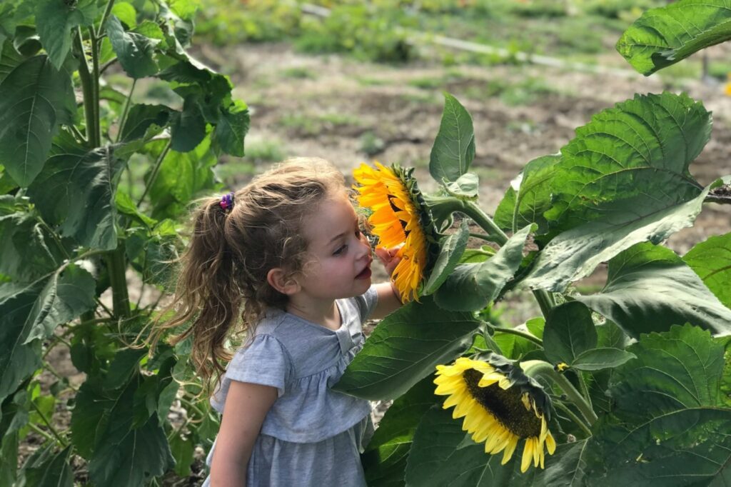 Papa, was wächst denn da? – Wie gemeinsames Gärtnern mit Kindern Zeit schenkt, Wissen vermittelt und richtig Spaß macht 7 03 kind garten sonnenblume entdecken gaertnern mit kindern min