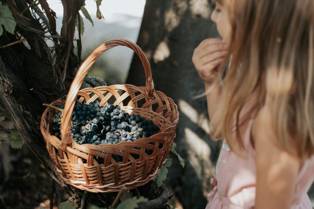 Beeren mit Köpfchen: Warum heimisches Sommerobst ein smarter Snack für Familien ist 6 Blaubeeren sind ein gesunder Snack nicht nur für Kinder