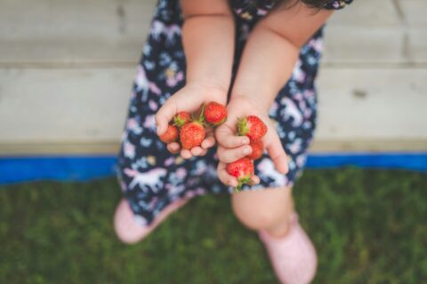 stephen andrews 2tQEjkUAM w unsplash